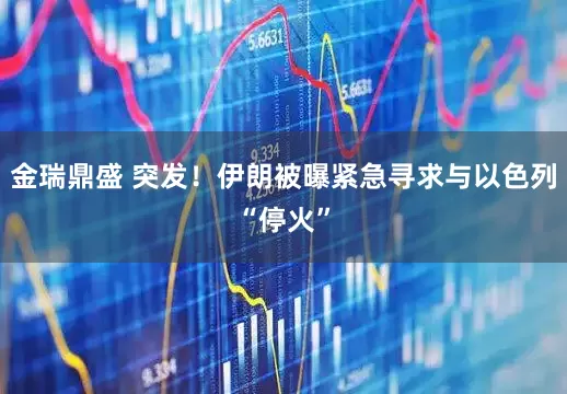 金瑞鼎盛 突发！伊朗被曝紧急寻求与以色列“停火”