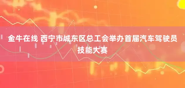金牛在线 西宁市城东区总工会举办首届汽车驾驶员技能大赛