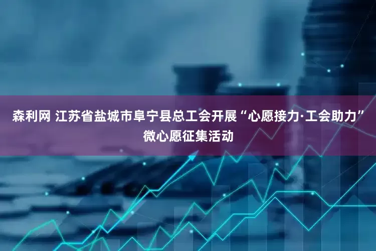 森利网 江苏省盐城市阜宁县总工会开展“心愿接力·工会助力”微心愿征集活动