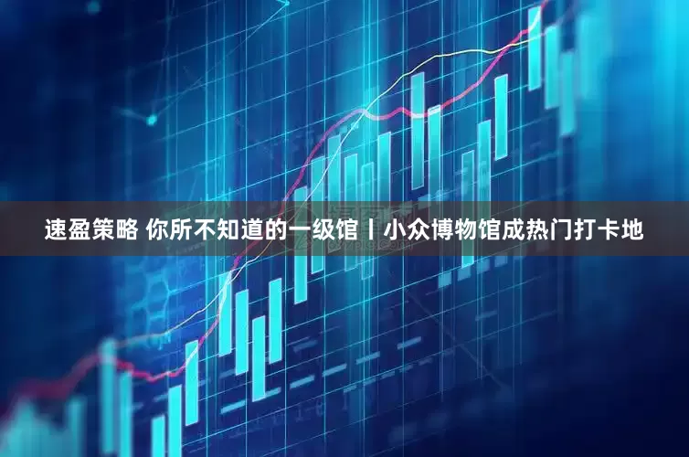 速盈策略 你所不知道的一级馆丨小众博物馆成热门打卡地