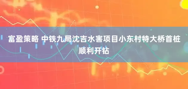 富盈策略 中铁九局沈吉水害项目小东村特大桥首桩顺利开钻